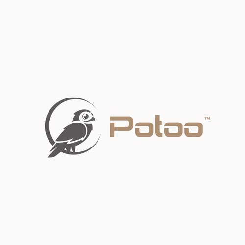 Bluebird logo with the title 'Potoo™ Logo Design'