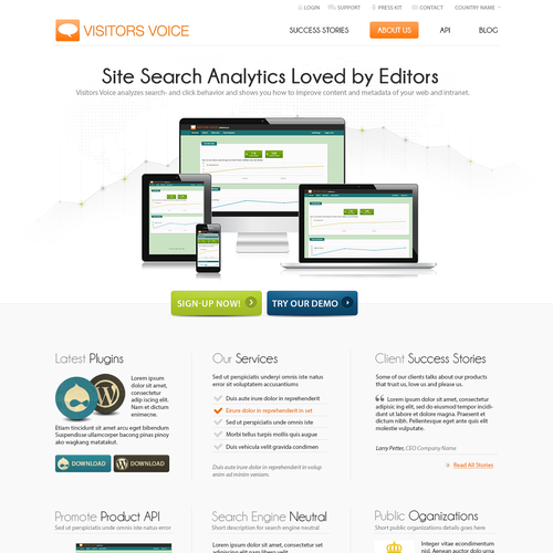 Analytics website with the title 'Visitors Voice'
