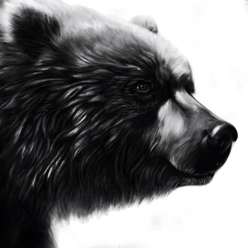 Black and white artwork with the title 'illustration for a book'