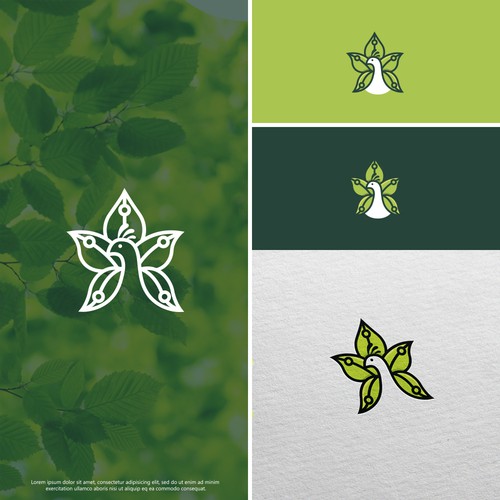 Green artwork with the title 'Mayura'