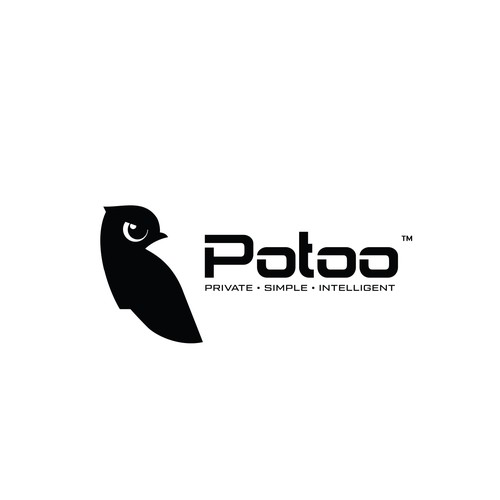 Surveillance logo with the title 'Potoo™ Logo Design'