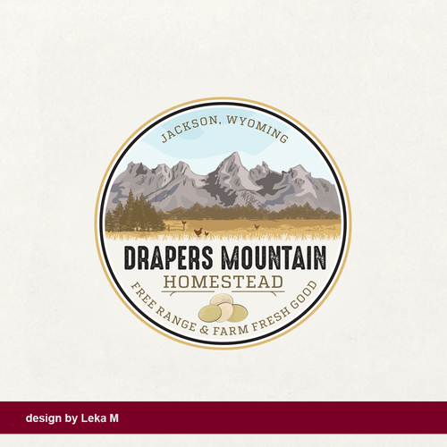 Egg design with the title 'DPM'