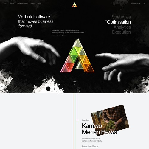 Animation website with the title 'Alegra Labs'