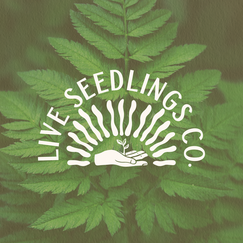 Garden design with the title 'Live Seedlings Co.'