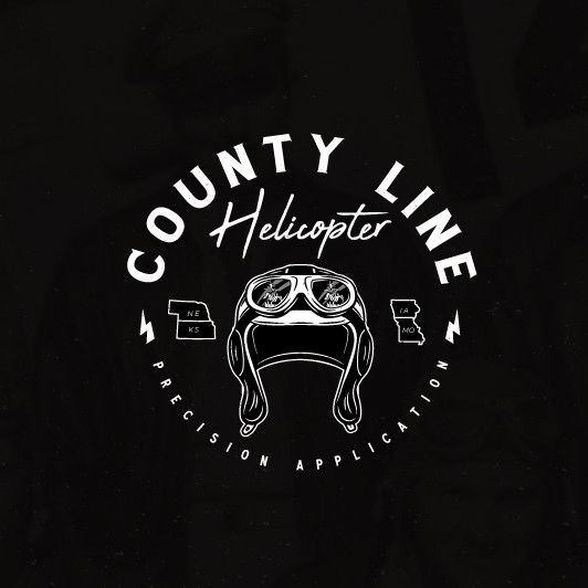 Pilot logo with the title 'Vintage logo for helicopter company.'