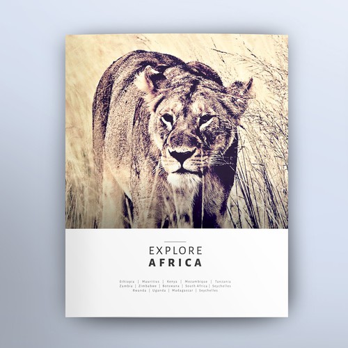 Safari design with the title 'Vintage African Safari Brochure'