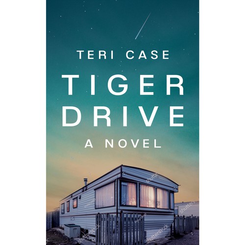 Family book cover with the title 'Book about a family in a trailer park'