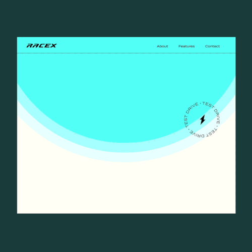 Weebly design with the title 'RaceX website concept'