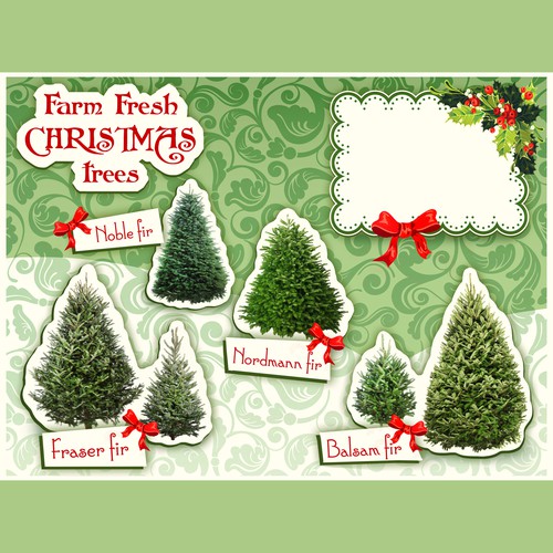 Banner artwork with the title 'Farm Christmas trees banner'