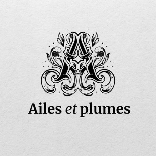 Workshop design with the title 'Ailes et plumes'