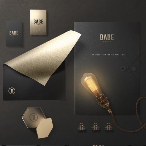 Salon design with the title 'Upscale branding for Babe®'
