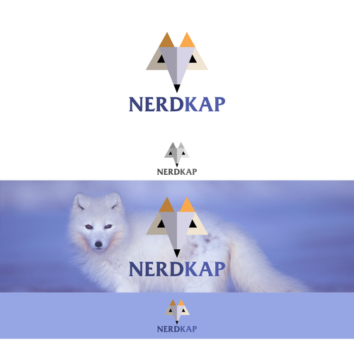 Nordic logo with the title 'Logo for internet company'