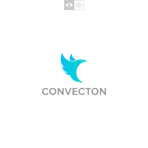 Blue and green logo with the title 'Convecton'