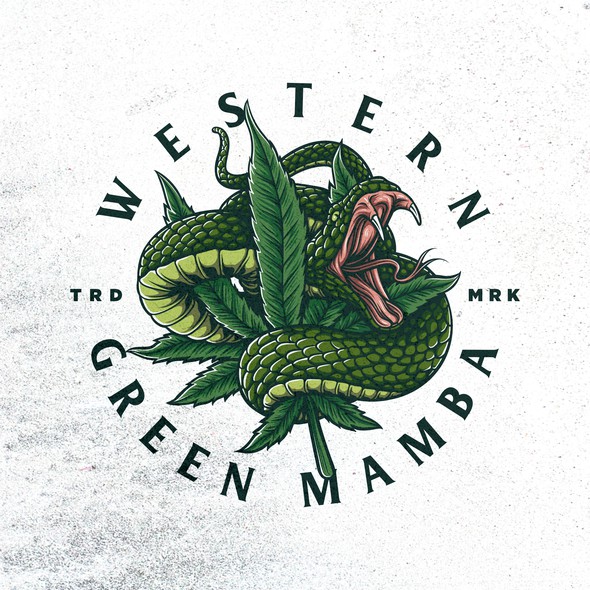 Old-school brand with the title 'Unused logo for Western Green Mamba'
