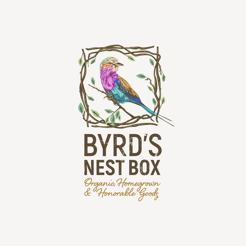 Nest logo with the title 'Byrd's Nest Box'