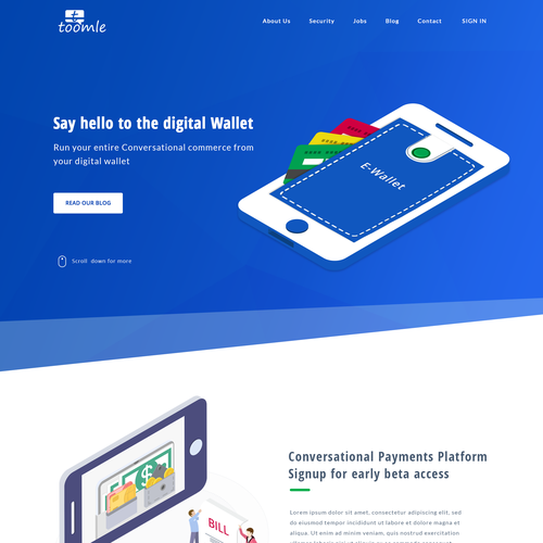 Wallet design with the title 'Wallet website'