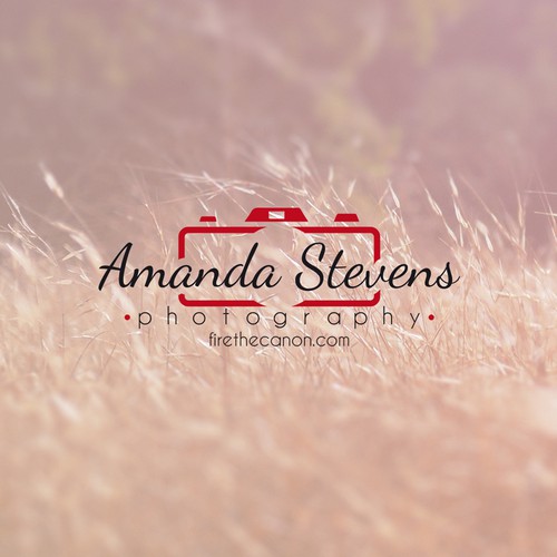 Conceptual brand with the title 'Amanda Stevens Photography'