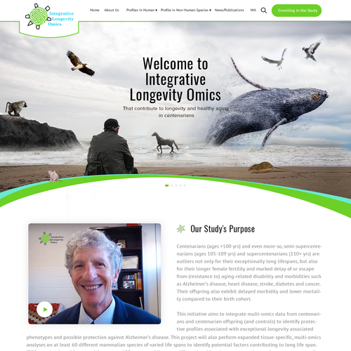 Creative website with the title 'Creative and Unique Header with Responsive Web Design'