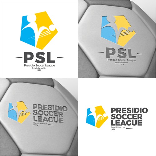 League logo with the title 'PSL '