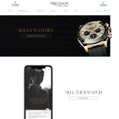 Redesigned website with the title 'home page redesign concept for PJ'