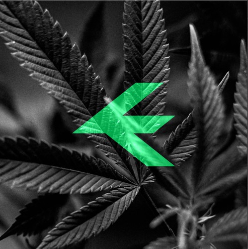 Wellness brand with the title 'Elevated'