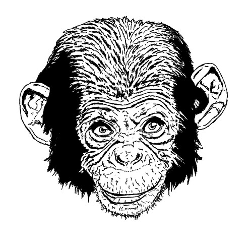 Animal character artwork with the title 'Realistic Animal illustrations'