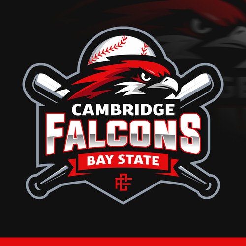 Falcon logo with the title 'Falcon Baseball Sports Logo'