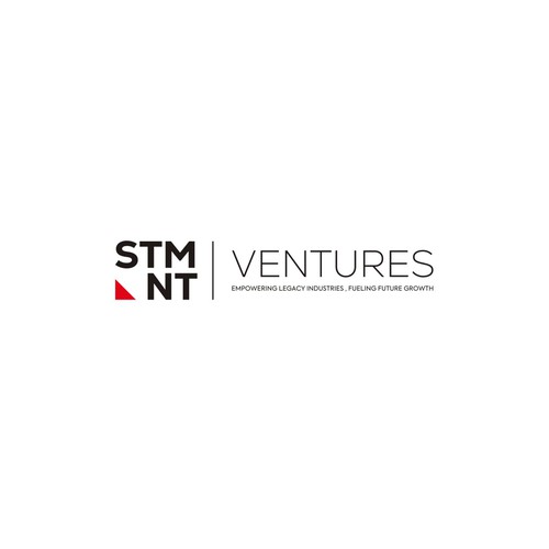Logo with the title 'STNM Ventures'