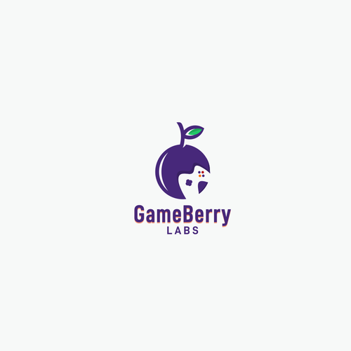 Blueberry logo with the title 'GameBerry'