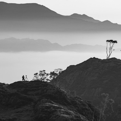 SEO design with the title 'Website Optimisation '