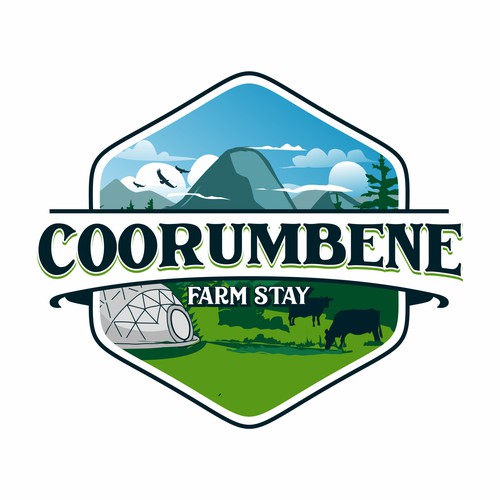 Infinity brand with the title 'corumbene contest logo'