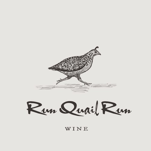 Sketch design with the title 'Quail Logo design '