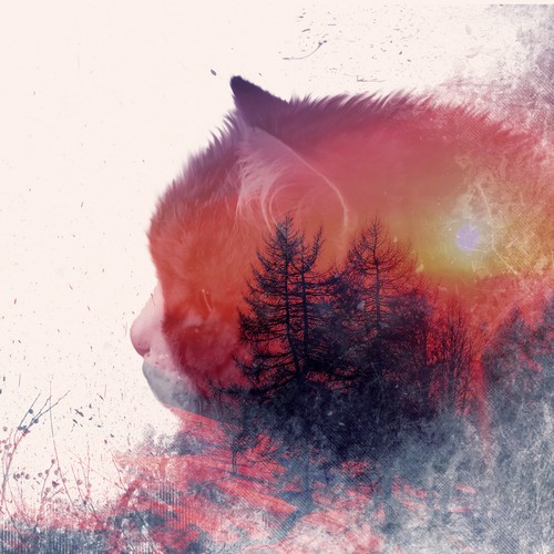 Double Exposure Art: the Best Custom Double Exposure Artwork | 99designs