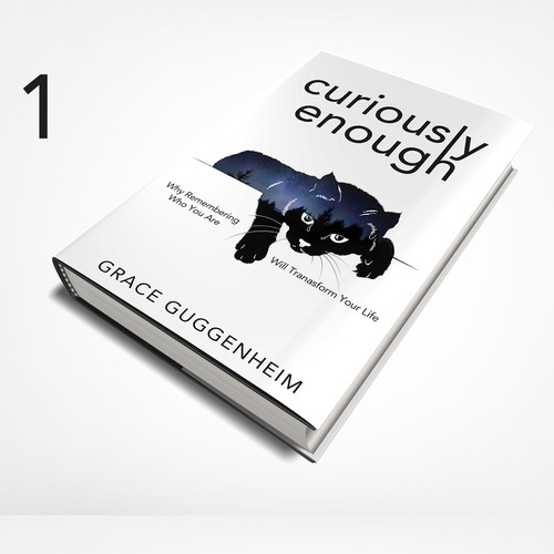 Cat book cover with the title 'curiously enough'