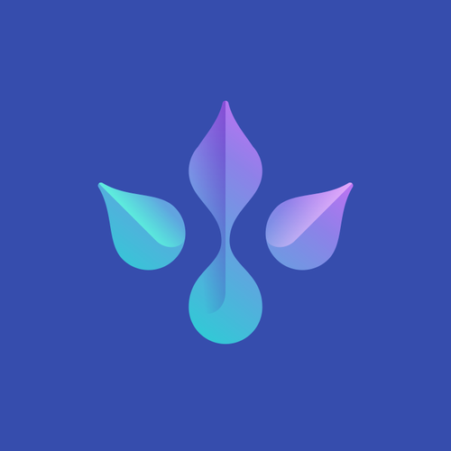 Brand logo with the title 'LAUNDRY KING'