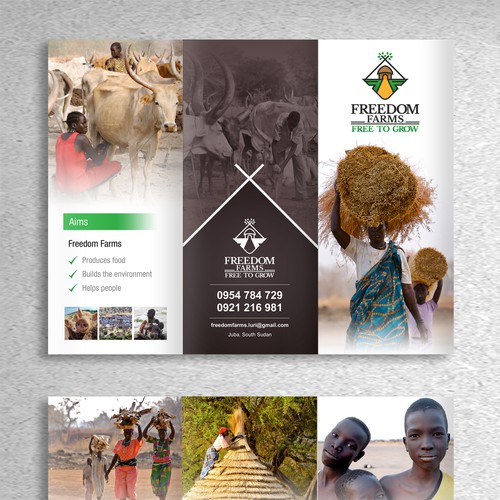 Cultural design with the title 'Create the Freedom Farms Brochure and help build a young nation'