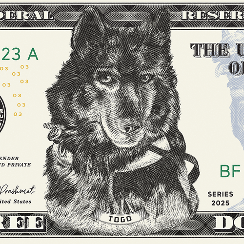 K9 design with the title 'Dollar Bill engraving illustration'