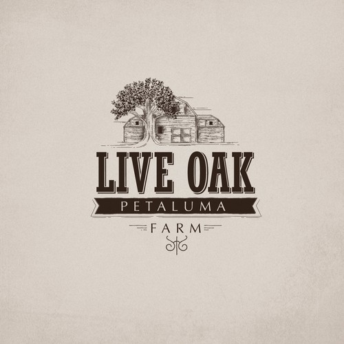 Oak tree design with the title 'Live oak logo design'