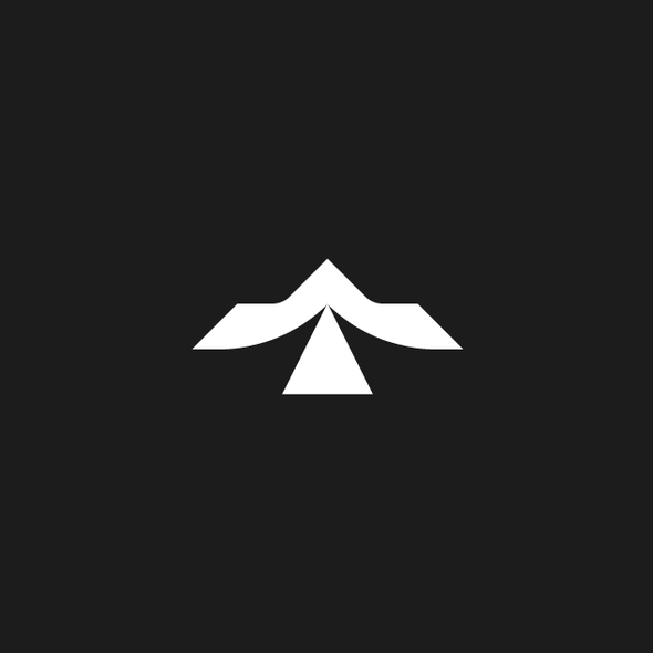 Plane logo with the title 'Brandmark-NR0880'