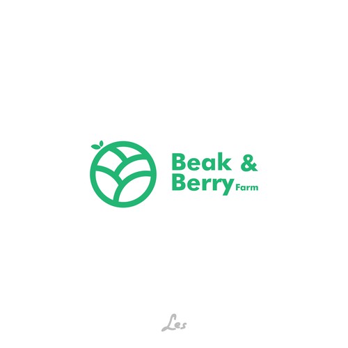 Solid logo with the title 'Beak and Berry Farm'