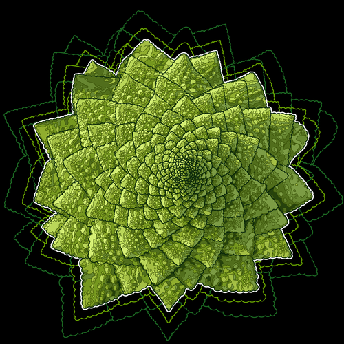 Green artwork with the title 'Romanesco Broccoli'