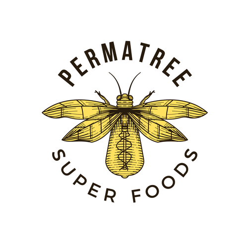 Food and drink logo with the title 'Firefly & Lamp'