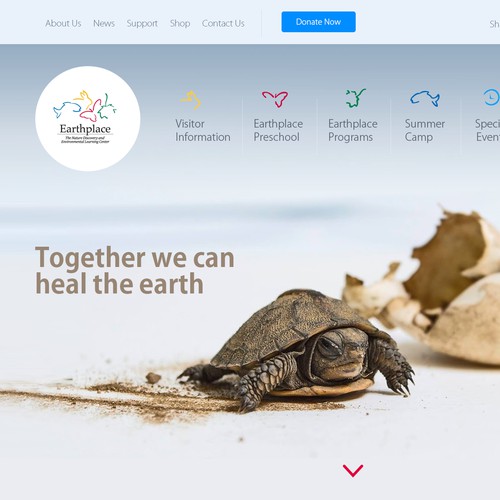 Nonprofit website with the title 'Heal the earth'