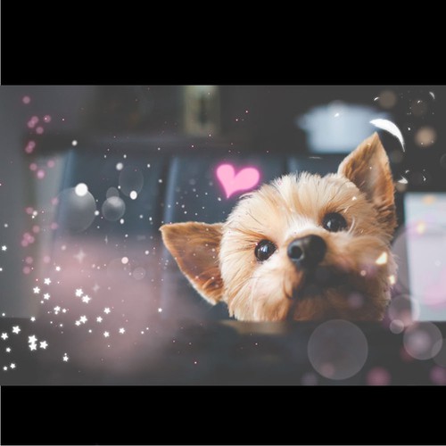 Sticker illustration with the title 'Spark Glittery Stamp'