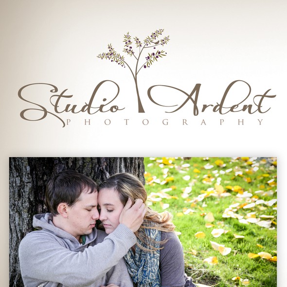 Olive tree logo with the title 'Studio Ardent Photography needs a new logo'