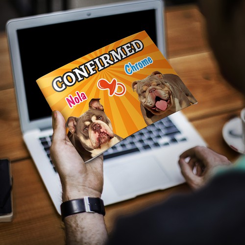 Announcement design with the title 'Announce English Bulldogs Pregnancy'