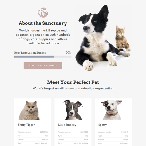 Pet website with the title 'Pet's website design'