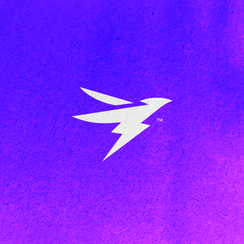 Design with the title 'StormByrd'
