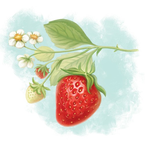Strawberry design with the title '1-to-1 Illustration Project'