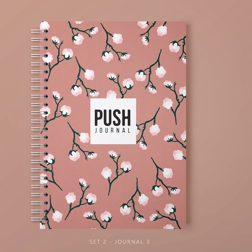 Branding illustration with the title 'PUSH Journal'